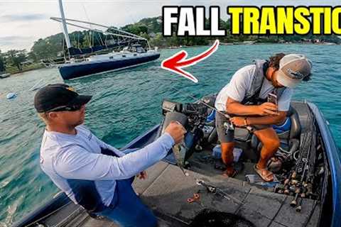 EASY Fall Transition Pattern for Big Fish