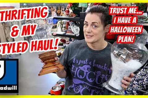 Goodwill Thrift Shopping &amp; Haul With a Plan for Halloween, TRUST ME!