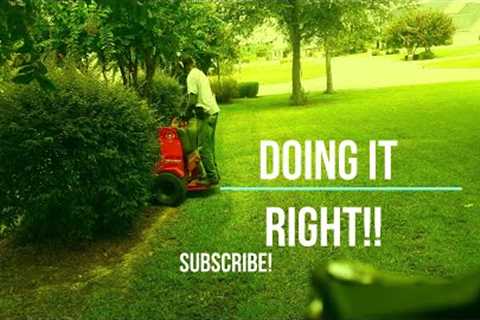 Client Said, That's Tight!!   Throwback  Weekly Lawns!