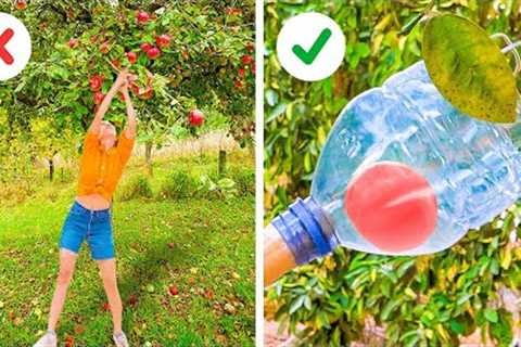 USEFUL GARDENING HACKS AND TOOLS || Growing Plant Tips You'll Be Glad to Know