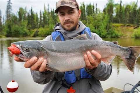 Catching Wild Coho Salmon with Homemade Bait