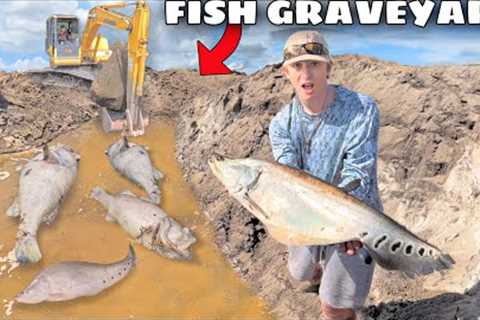 These Fish Were Left to DIE!