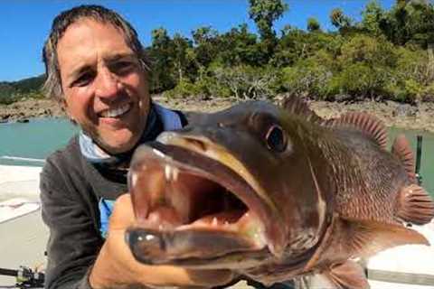 Overnight solo boat camping gale force wind turns into lots of fish - Catch and Cook - EP.572