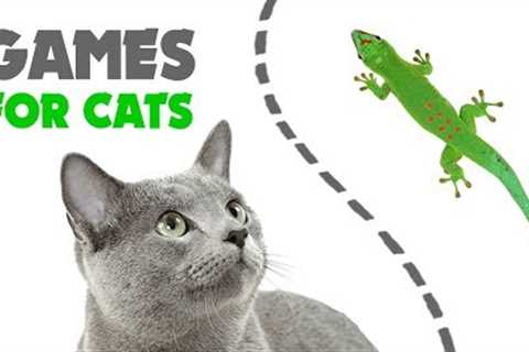 CAT GAMES ★ LIZARD on the SCREEN