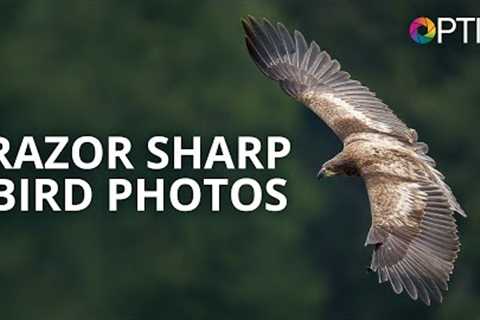 Matt Kloskowski: Fast Action, Razor Sharp Bird Photography | #BHOPTIC