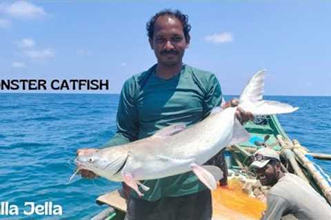 Catching Monster Catfish , Eel Fish , King Fish On Sea 🐬 #mustwatch
