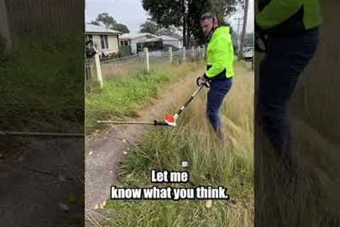 Always learning Lawn Care Tips. #mowing #tips #lawntips
