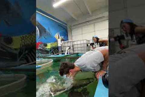 I got KNOCKED OUT by a FISH😳