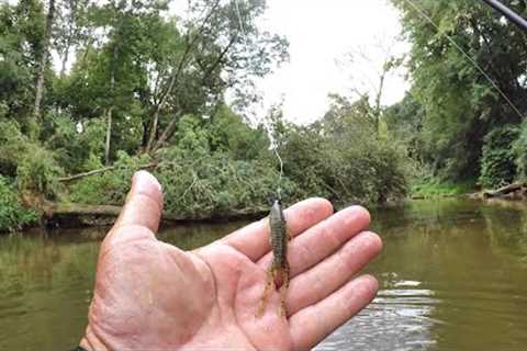 THIS Fishing Lure Is ABSOLUTE MADNESS!!! (I Caught LOADS Of Fish!)