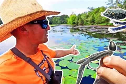 Frogging and Punching On Lake Guntersville! Bass Fishing In The Summer!