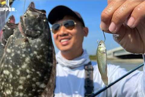 Catching Flounders for Beginners! Fishing Rigs, Bait, Tackle, Spots &amp; MORE!