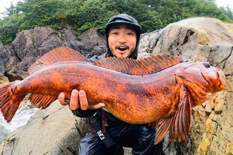 GREATEST CATCH AND COOK OF ALL TIME | Alaska Coastal Foraging, Red Lingcod, and Hot Springs