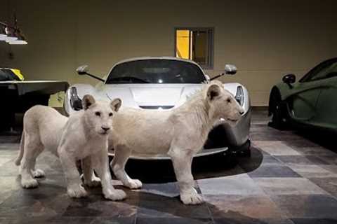The REAL Cost of Owning An Exotic Pet
