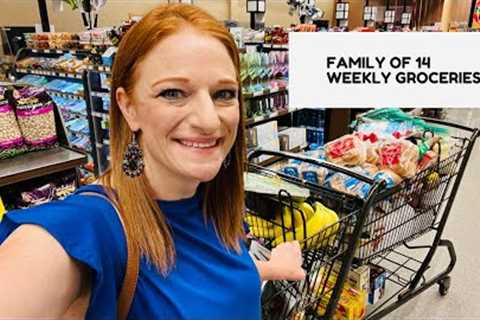 FAMILY OF 14 WEEKLY GROCERY SHOPPING