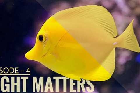 ESTABLISHING OF MARINE AQUARIUM | complete book of marine aquarium (EPISODE -4)