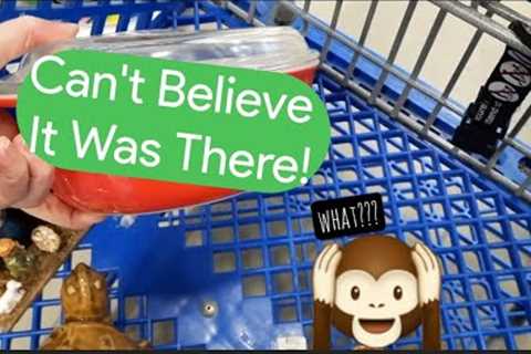 Can't Believe It Was There! - Shop Along With Me - Goodwill Thrift Stores