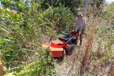Homeowner almost CRIES and said she had NO money so I CUT her 8ft tall grass for FREE