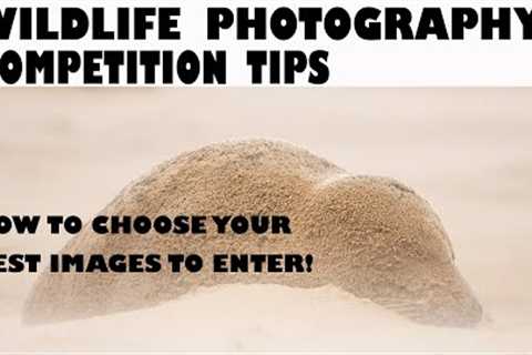 WILDLIFE PHOTOGRAPHY COMPETITION TIPS