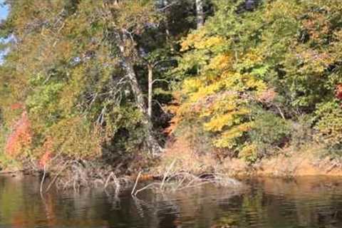 How to find catfish in a lake or reservoir - where to fish for catfish