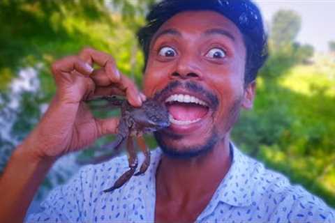 Amazing Crab 🦀 Fish 🎣 Catching Technique | Fish and Crab Eating | Fish Curry Recipe | Spicy Video ..