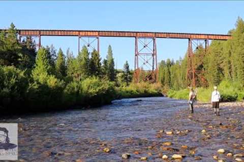 my favorite streams | hay fields vs. pine forests | Fly Fishing Idaho