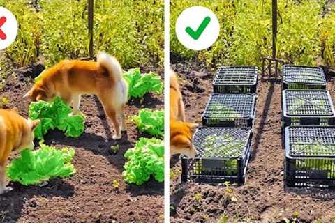 Smart Hacks And Tips For Your Garden