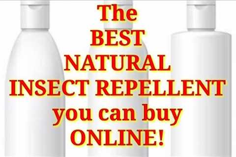 The BEST NATURAL INSECT REPELLENT you can find ONLINE you can also use this on plants.