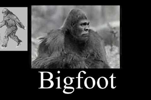 Bigfoot- video &amp; audio doc compilation