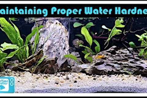 Fish Tank Water Hardness Fully Explained: Don't Kill Your Fish!