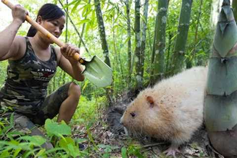 Trace and Dig - Caught a Rare White Bamboo Rat/ Bushcraft &amp; Survival Part 9