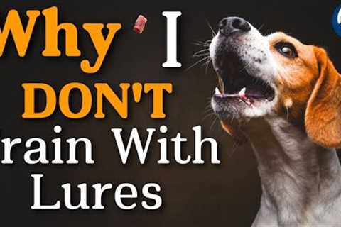 Food Luring VS Shaping In Dog Training: How Science Changed How I Teach Dogs #175 #podcast