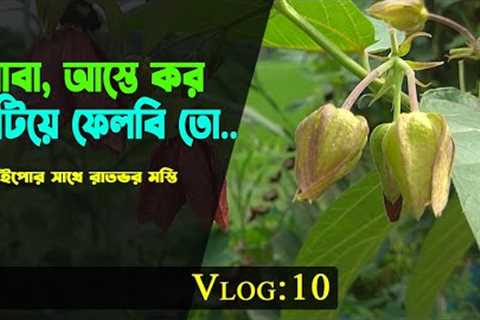 Natural Vlog - 10 || Plants &amp; flower review || Indian Heliotrope || Abroma Augustum || Nipa's..