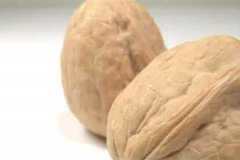 How to Lose Weight : Raw Food Diet