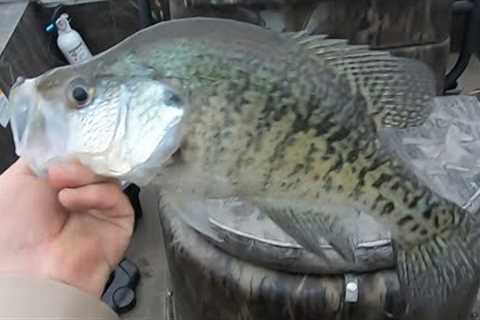 Crappie Fishing Lake Darbonne!!! (Livescope * Giant * Crappie)
