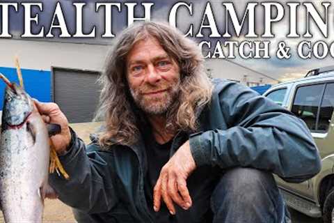 Stealth Camping Salmon Catch &amp; Cook
