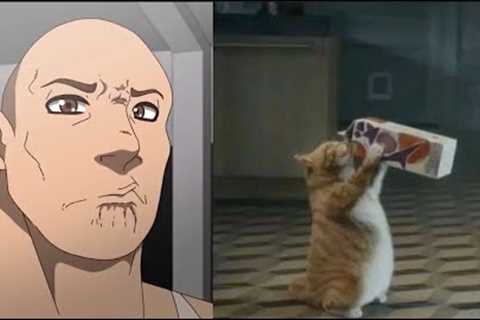 The Rock reacting eyebrow raise