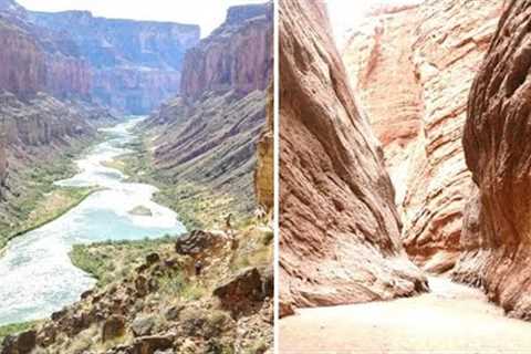 Experts Have Just Confirmed A Worrying Discovery At The Grand Canyon After Finding This