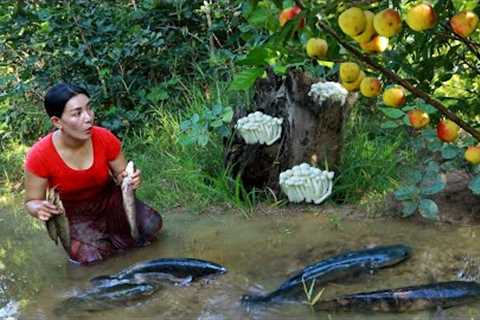 Pick apple &amp; mushroom catch fish for food in forest- Cooking fish spicy with mushroom so..