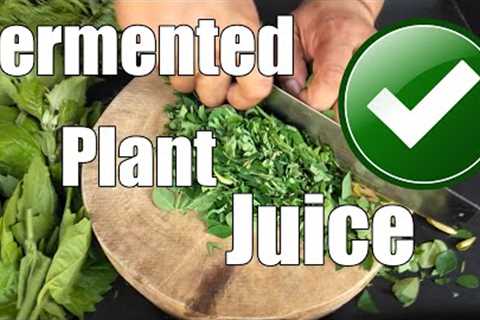 Fermented Plant Juice / Organic Fertilizer