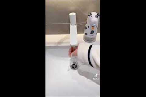 Smart Home TikTok 2021 / Chinese Smart Home