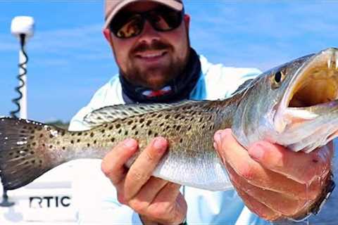 Top 3 Types Of Spots To Fish On A Incoming Tide (And Why)