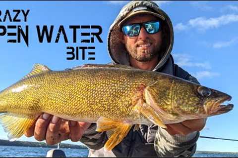 This SECRET LOCATION is LOADED With Walleyes!