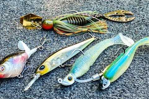 The Bass Fishing Trick You've Never Tried! Finesse Reaction Baits!