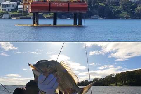 fishing the lake with lures