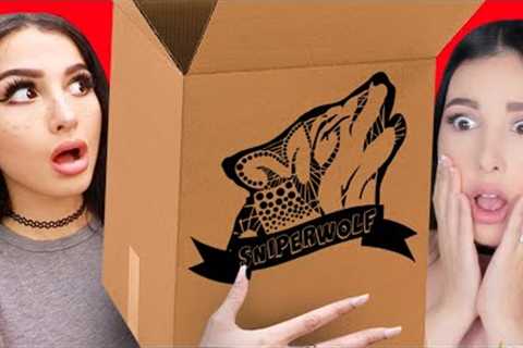Sssniperwolf Mystery Box Unboxing
