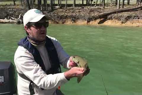 Spring Fishing for Smallmouth Bass at Lake Moomaw