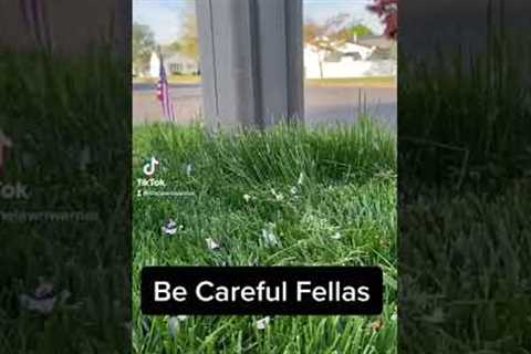 Lawncare Tips, Lawncare Business Tips #becarefulfellas #watchout #weedeatertips