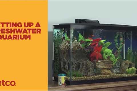 How to Setup a Fish Tank - Freshwater (Petco)