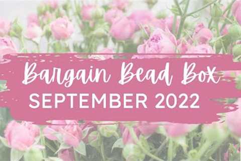 Bargain Bead Box | September 2022 | Monthly Subscription Unboxing