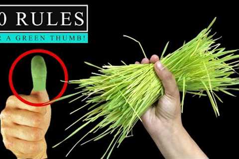 50 SECRETS FOR A GREEN THUMB | GARDENING IDEAS &amp; TIPS